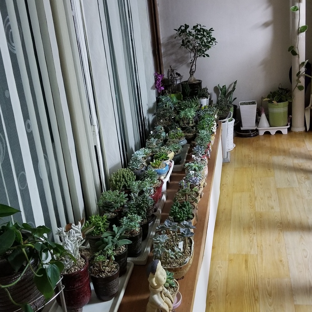 Meet your Posher, 수인